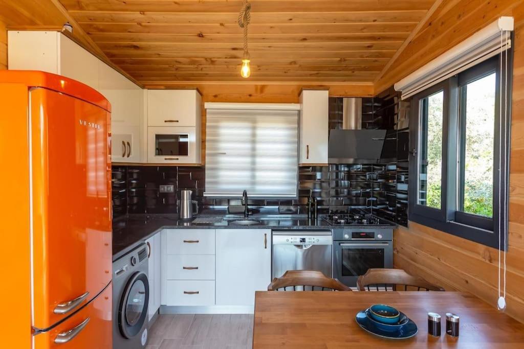 Villa Zeytin Havuzlu Jakuzili Фетхіє Екстер'єр фото